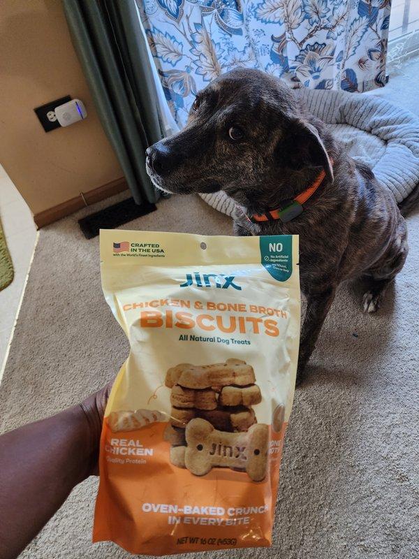 Non chicken dog outlet treats