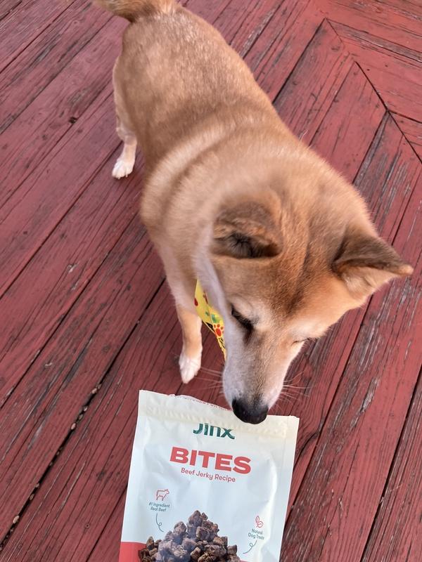 Beef Jerky Bites for Dogs Real Meat, Real Protein by Jinx