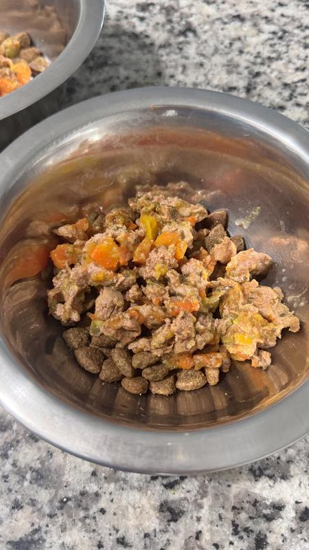 Shop Grain Free Tuna Dog Food With Chicken Wet Food Jinx
