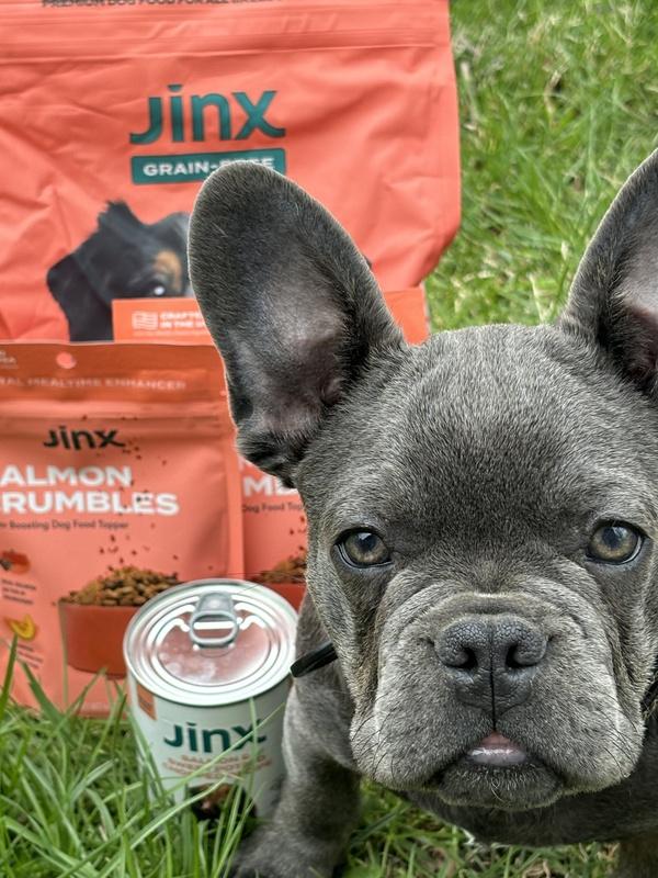 Vegetables Healthy Snacks For French Bulldogs Grain-Free Atlantic Salmon  Dog Food Energy Wellness – Jinx