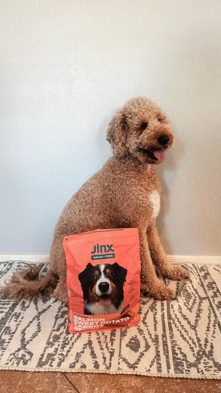 Jinx Dog Kibble: Salmon Sweet Potato
