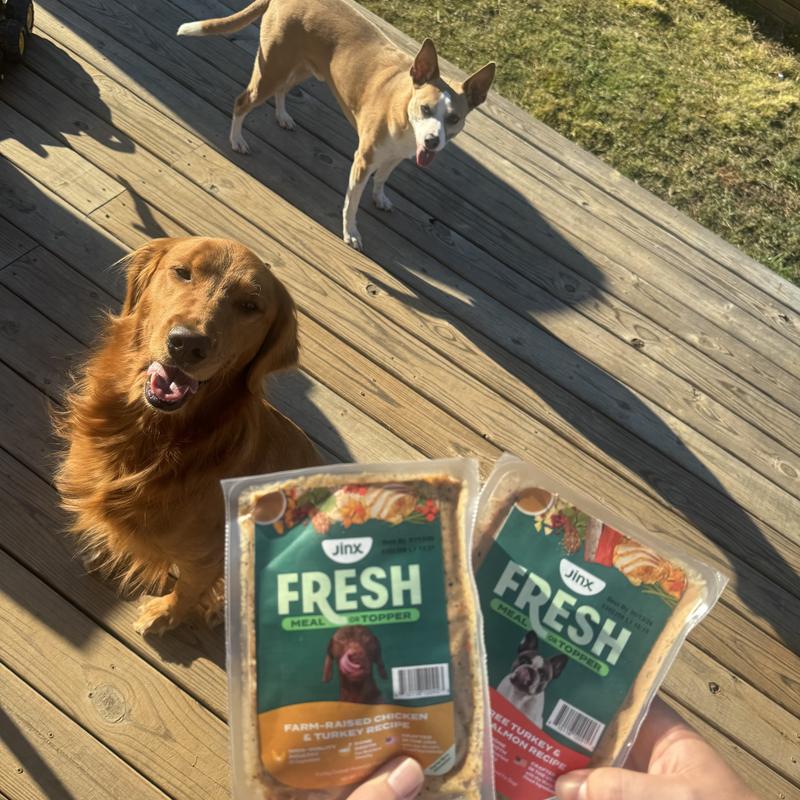 Shop Grain-Free Tuna Dog Food With Chicken: Wet Food – Jinx