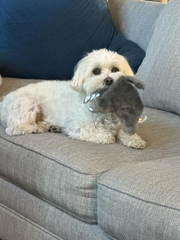 Happy boy!