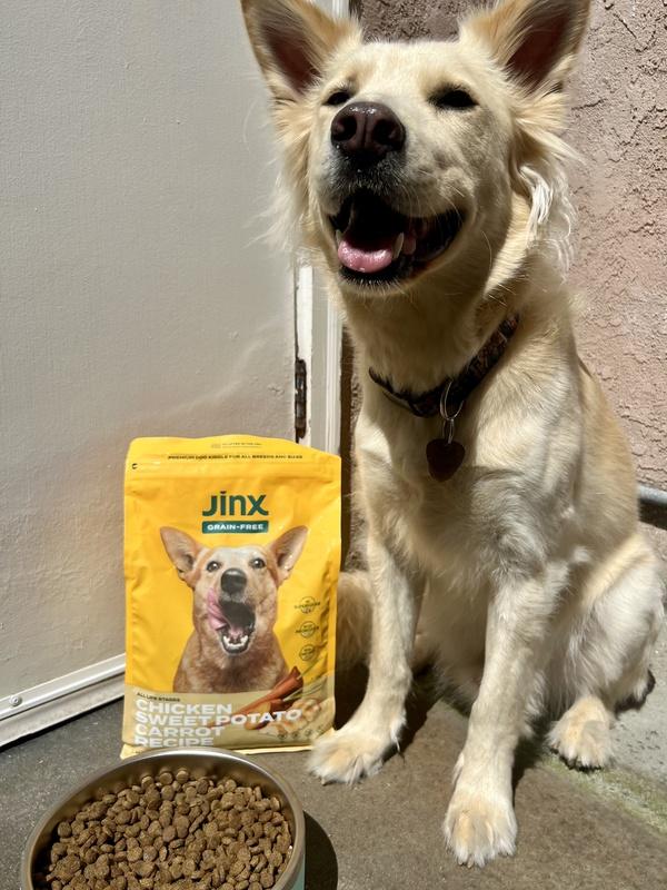 Shop Organic Grain Free Chicken Dog Food With Carrots Kibble Jinx