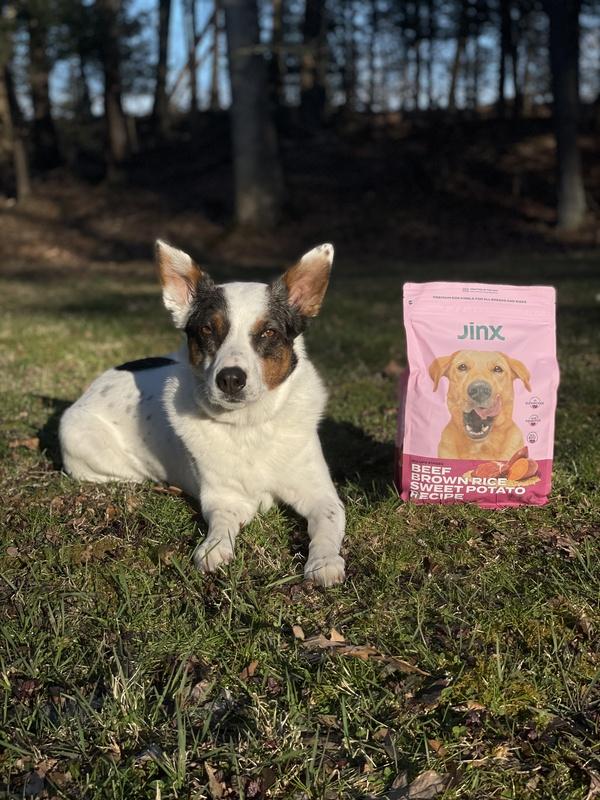 Grain Friendly Kibble Sampler Jinx