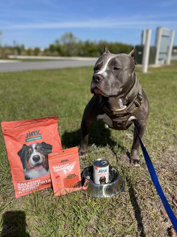 Grain free dog food for pitbulls hotsell