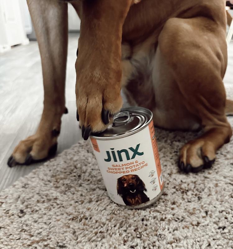 Shop Grain Free Salmon and Sweet Potato Dog Food Jinx