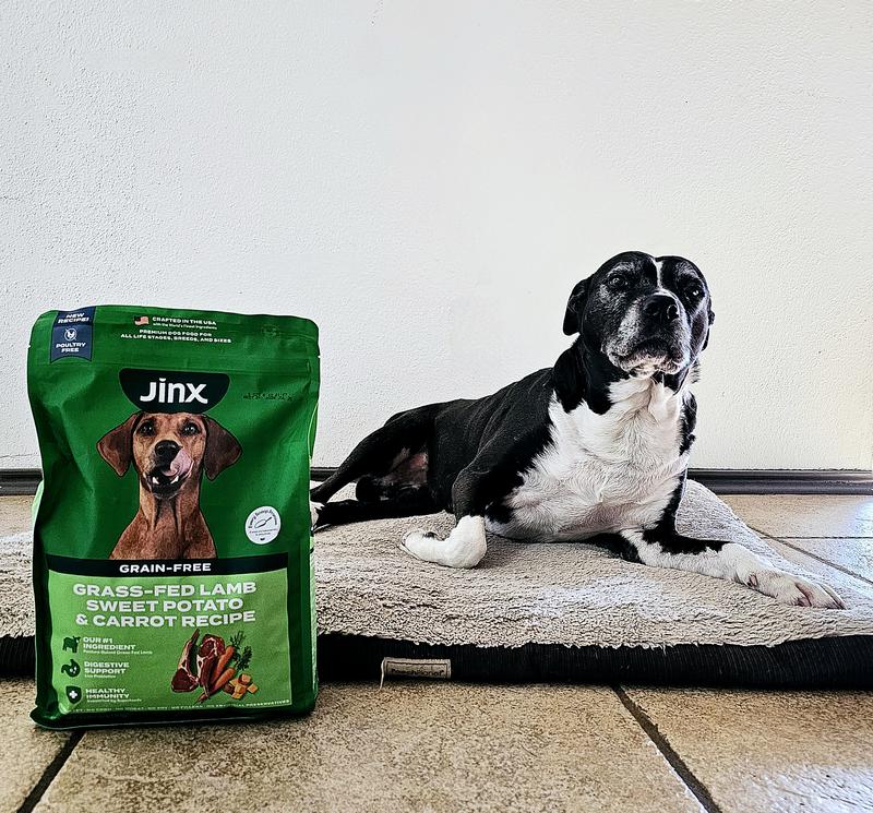 Jinx Dog Food: Grass-Fed Lamb for Everyday Nutrition