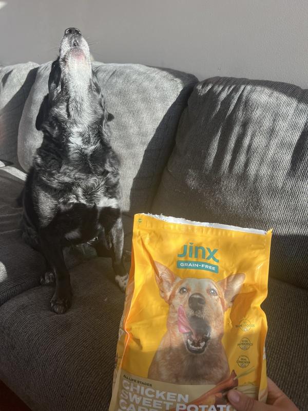 Shop Organic Grain-Free Chicken Dog Food With Carrots Shop Organic Grain-Free Chicken Dog Food With Carrots