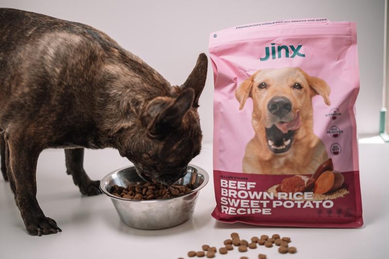 Grain Friendly Kibble Sampler Jinx