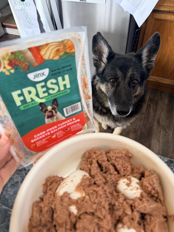 Shop Grain-Free Tuna Dog Food With Chicken: Wet Food – Jinx