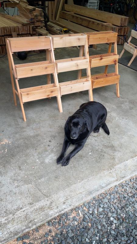 Far left planter has been finished with Thompson Waterseal Clear wood sealer