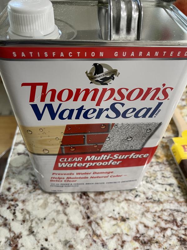 Thompson's WaterSeal Clear Water-Based MultiSurface Waterproofer Sealer, 12  Oz. - Brownsboro Hardware & Paint