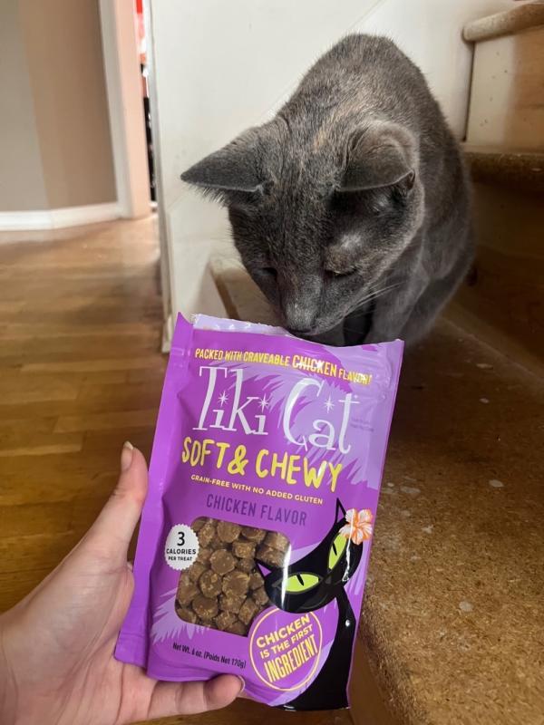 Chicken Soft & Chewy - Tiki Pets
