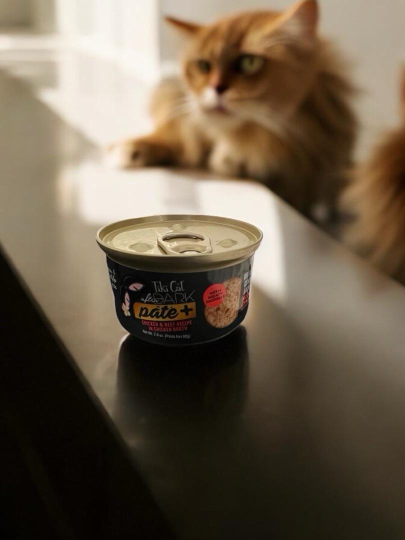 Fussie cat petco sale
