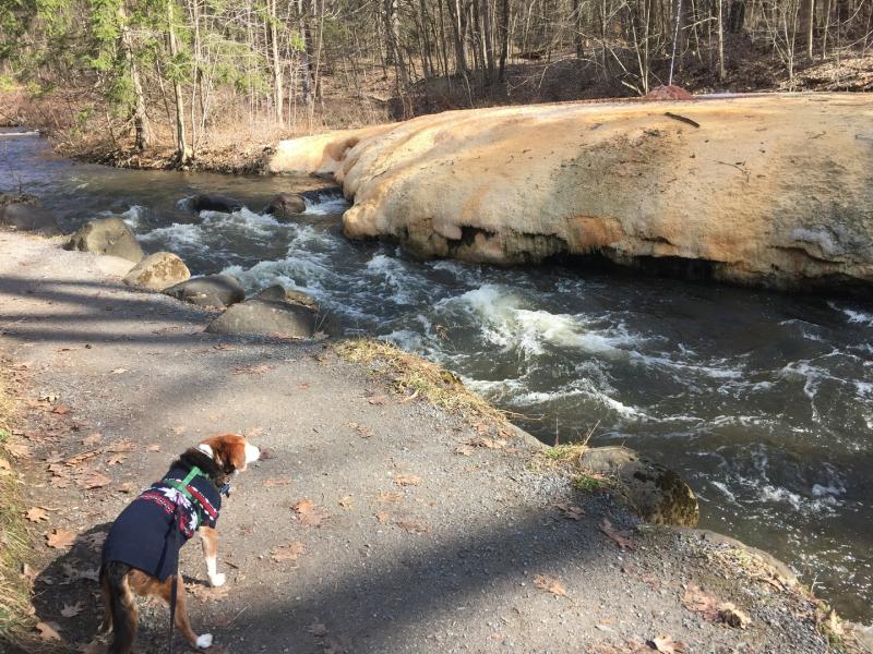 Photo - commentaire&nbsp;6.