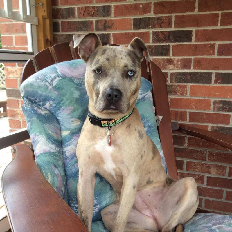 Photo - commentaire&nbsp;8.