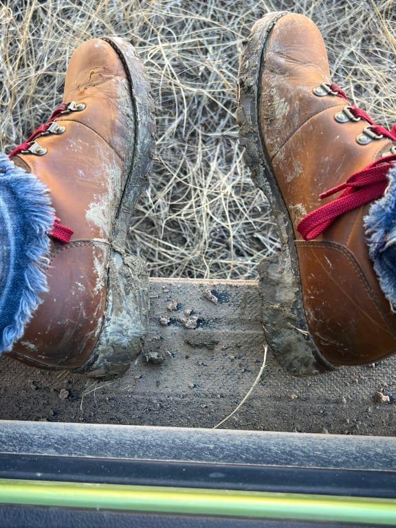 Customer photo for "Third pair!"