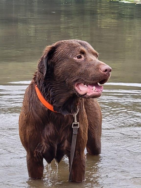 At the lake with Bodhi