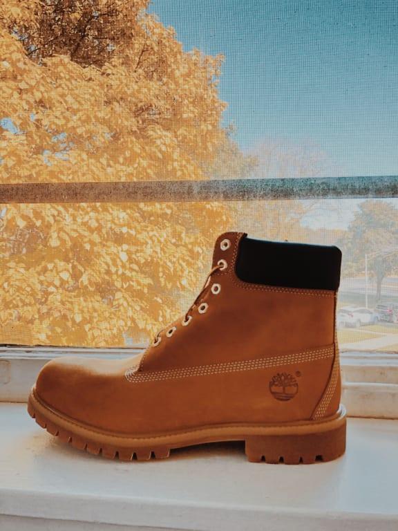 hibbett sports timberlands
