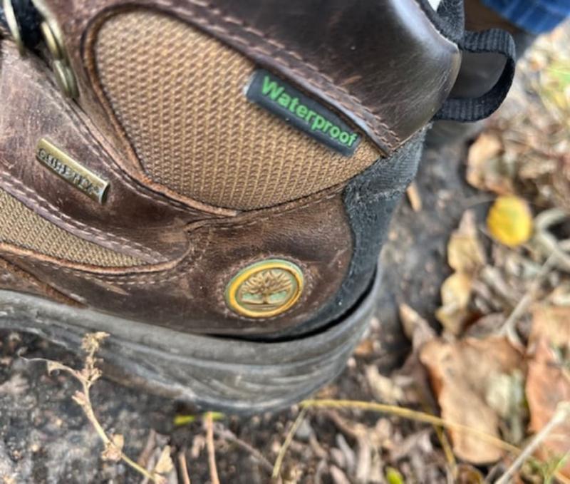 chocorua trail hiking boot