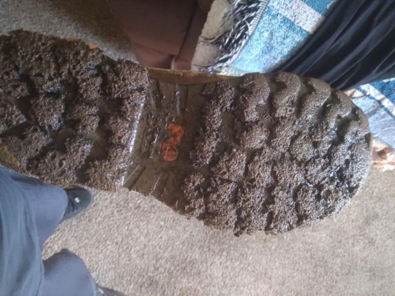 Photo submitted with review of product