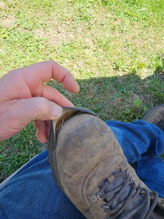 Photo submitted with review of product