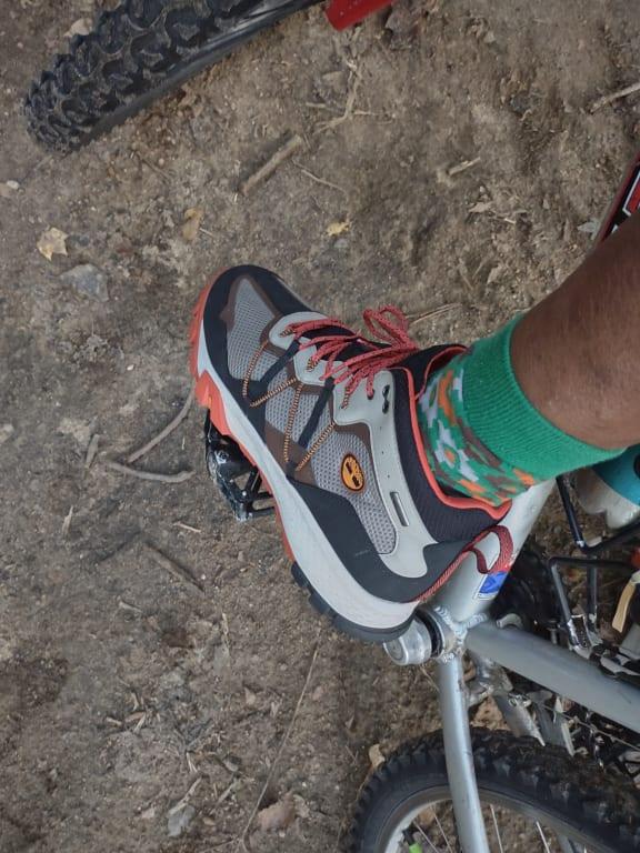 Brindles for Biking!