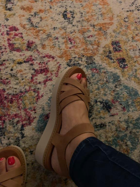 safari dawn
