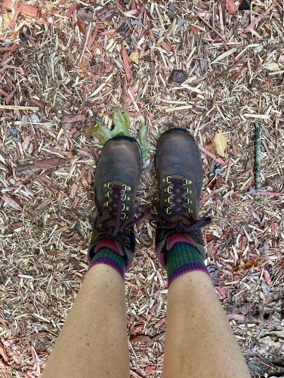 women's norwood hiker waterproof booties