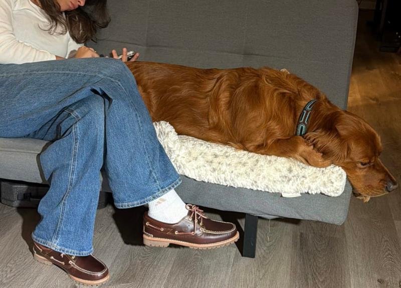 Review Thumbnail Image 0 371776664