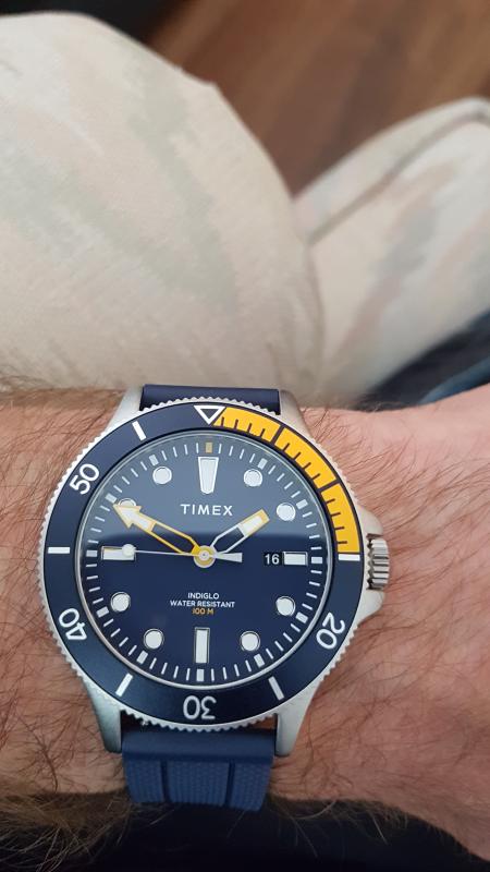 timex allied coastline blue