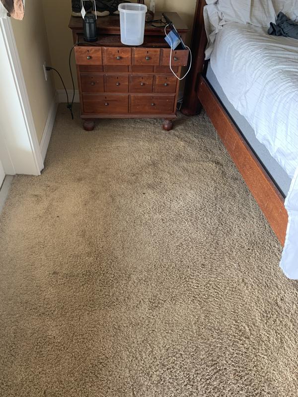 Before. Coffee and pet stains.