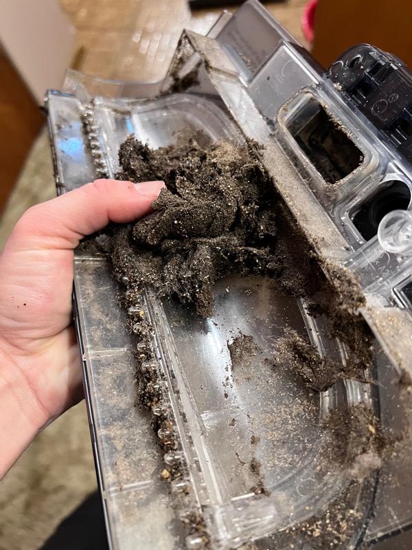 Photo - commentaire&nbsp;2.