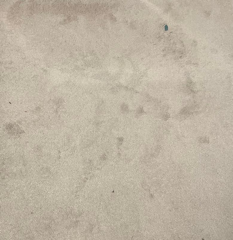 Photo - commentaire&nbsp;6.