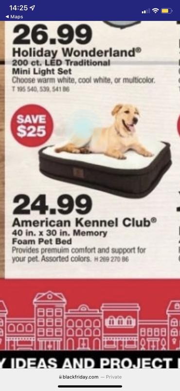 American Kennel Club Memory Foam Sofa Bed Tan