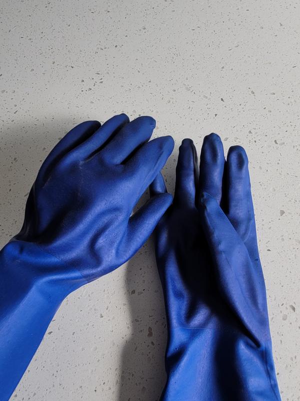 Spontex Bluettes Medium Neoprene Rubber Glove 18005, M - Foods Co.