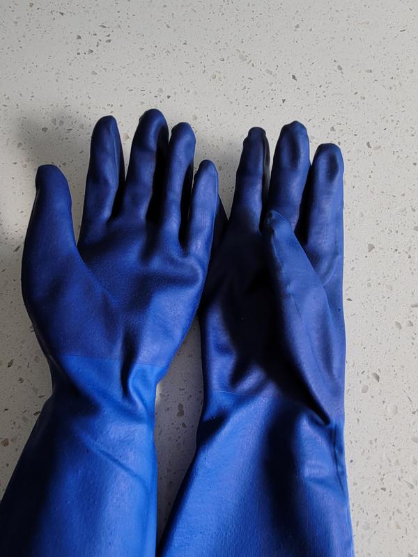 Spontex Bluettes Medium Neoprene Rubber Glove 18005, M - Foods Co.