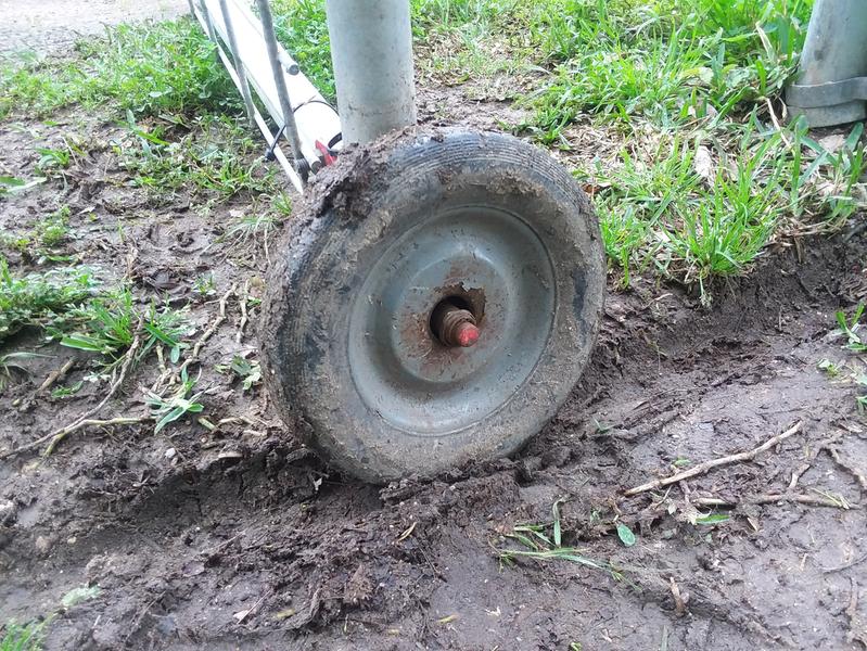 This one was bought last year.  They never last more than a few months intact.