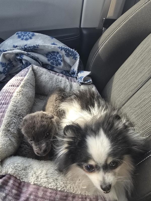 Bottle baby road trip.