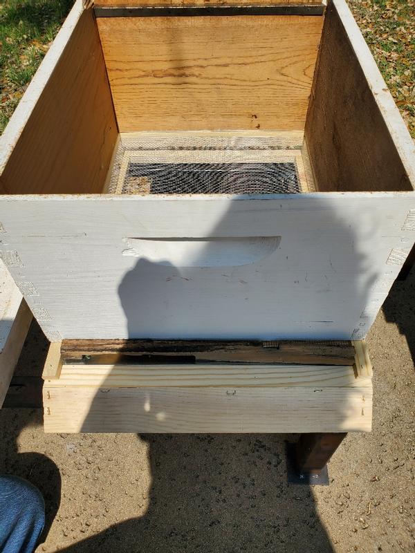 see front gap in depth of new board with standard box sitting on it; also exposed metal at bee landing area