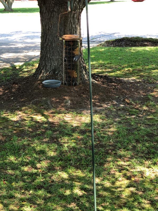 Good Quality Feeder!