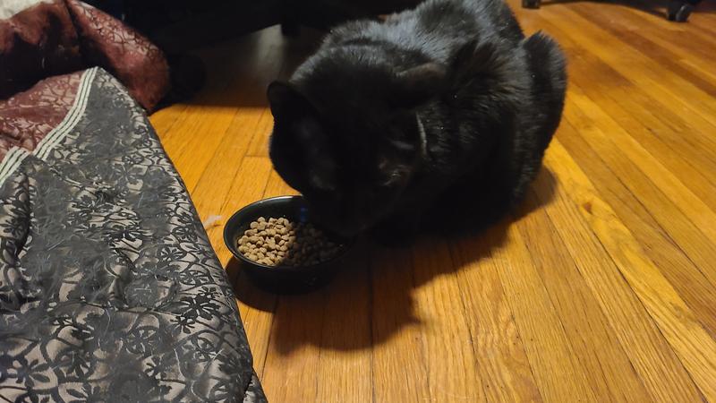Professor enjoying her food