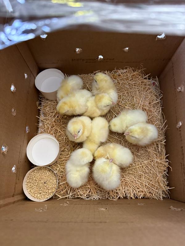 Day after they arrived.