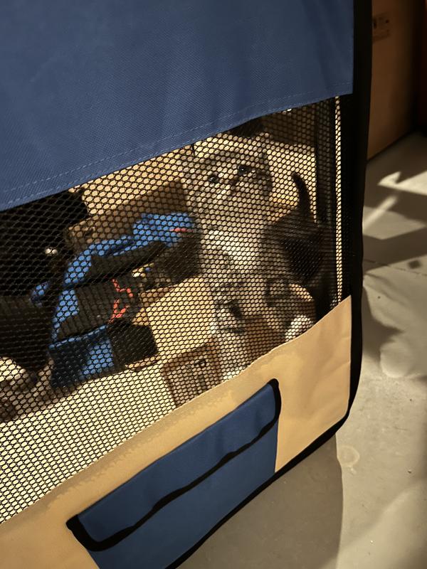 Kitten looking out of play pen