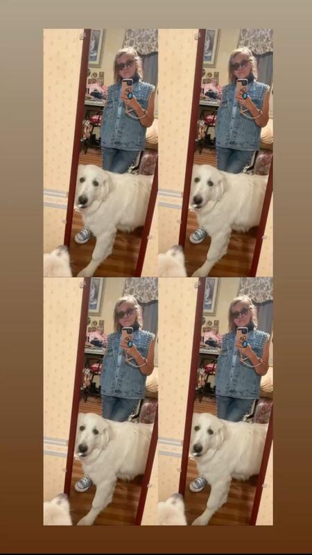 Healthy & Happy Puppy🐶Not even 6 mos.old yet🤩We’re a great pack in our home🏡as we have our puppy🐩& our American Bully🐕‍🦺getting along great together🐕💕😊They Love the Large Breed Puppy Food & No Grain Food by 4Health & Science Diet Sensitive Food😋