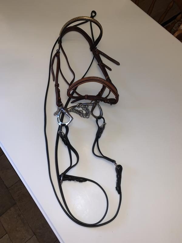 Rein-aids on Cody’s bridle