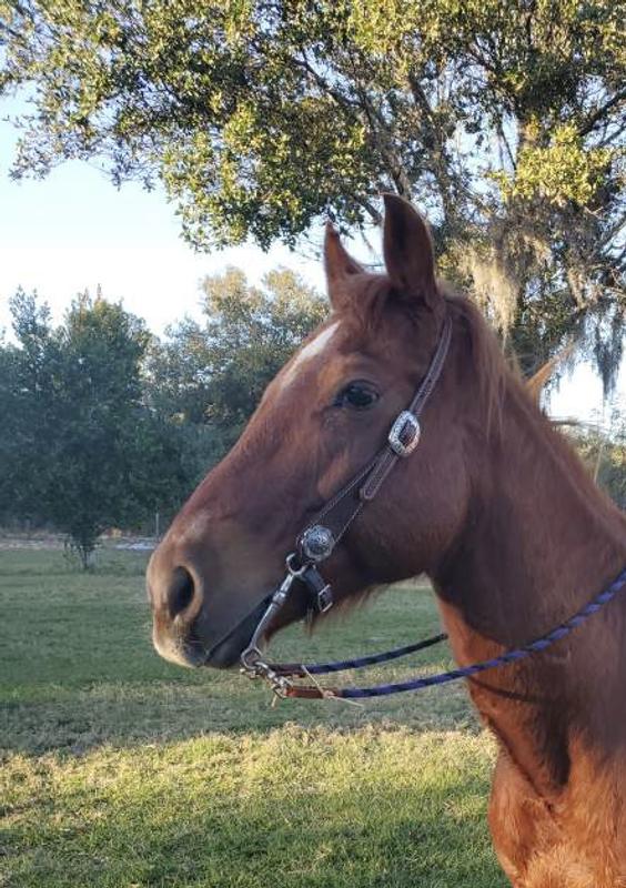 My girls Riley and Maggie