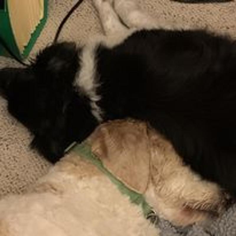 Mid morning nap!