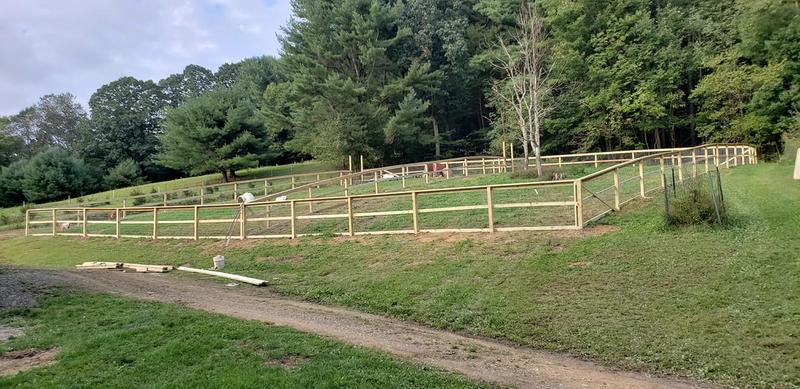 My goat fence